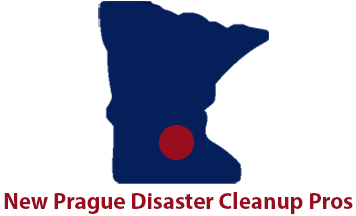 Disaster Cleanup Pros